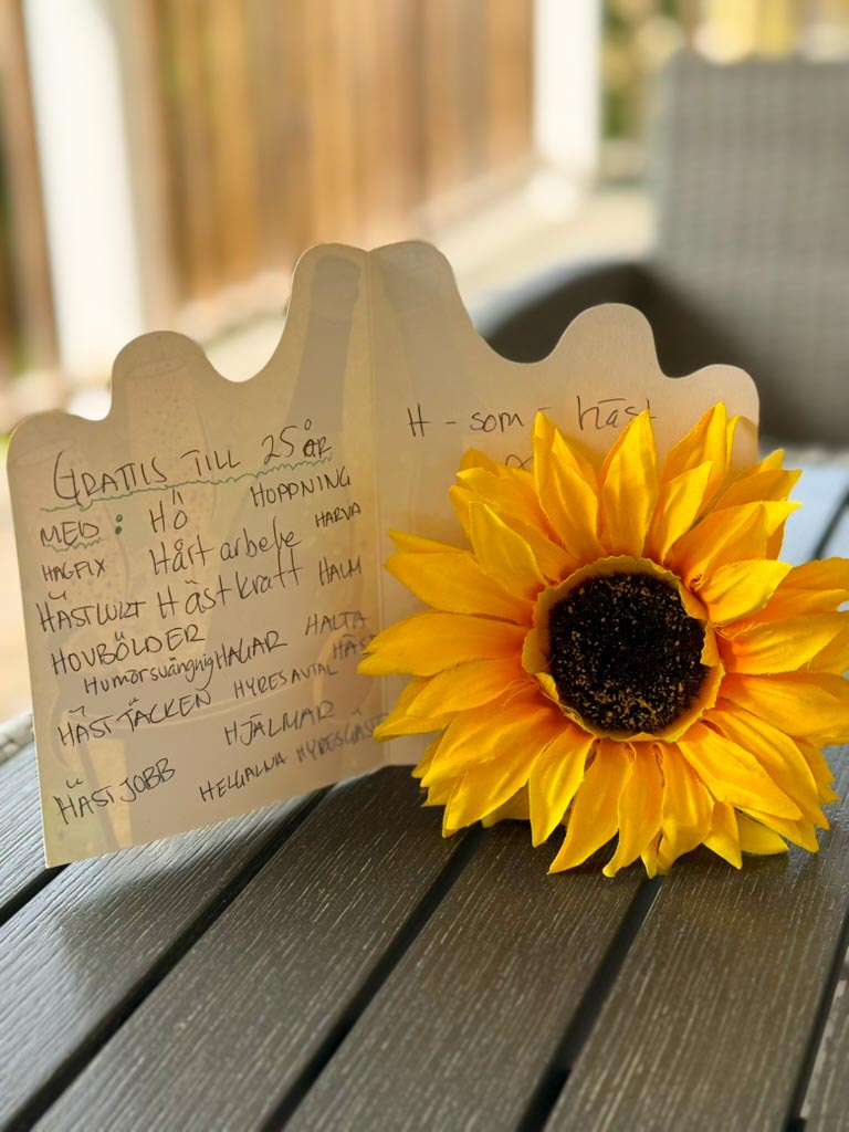 Lövholmen 25 årsjubileum