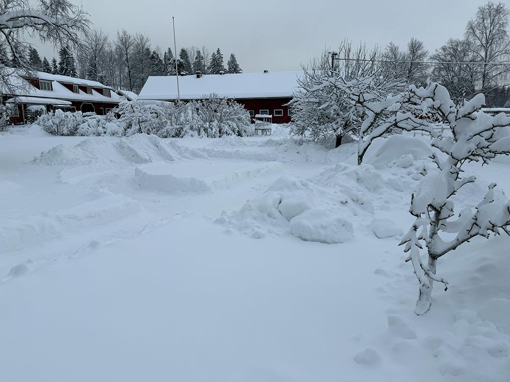 Lovholmen Snökaos 2026