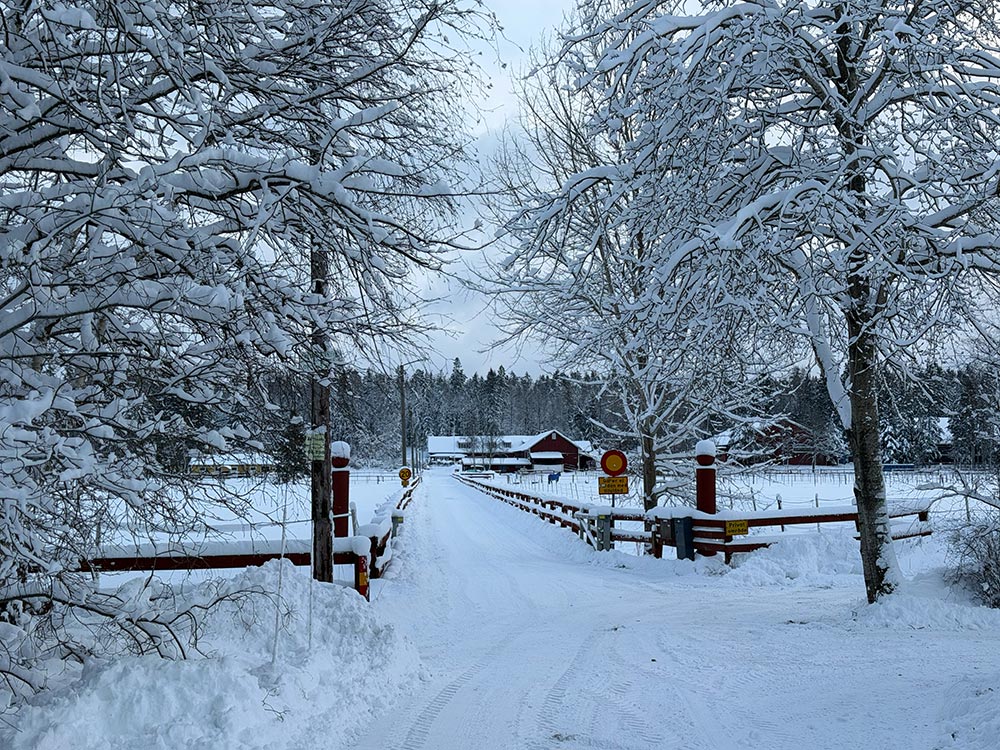 Lovholmen Snökaos 2026